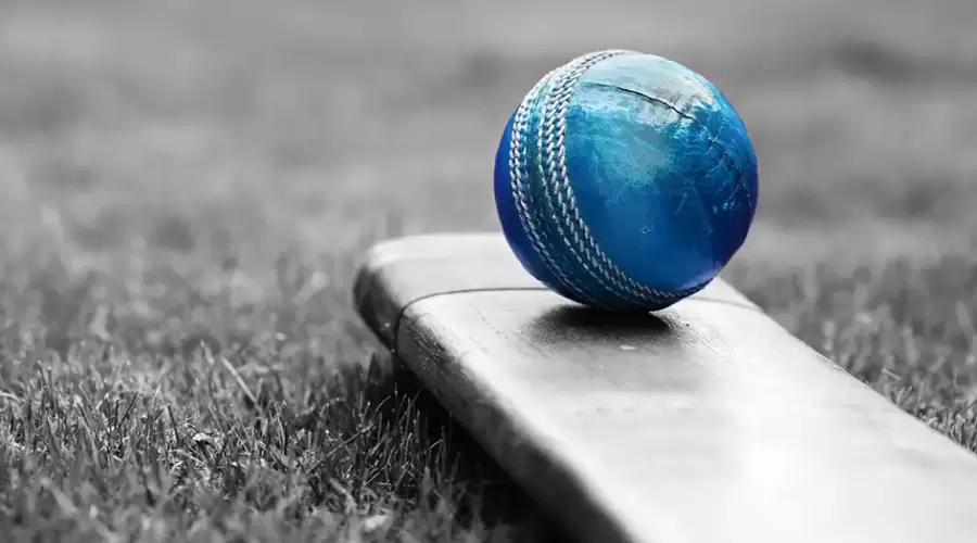 Cricket Betting Strategy: What the Pros Know That You Don't