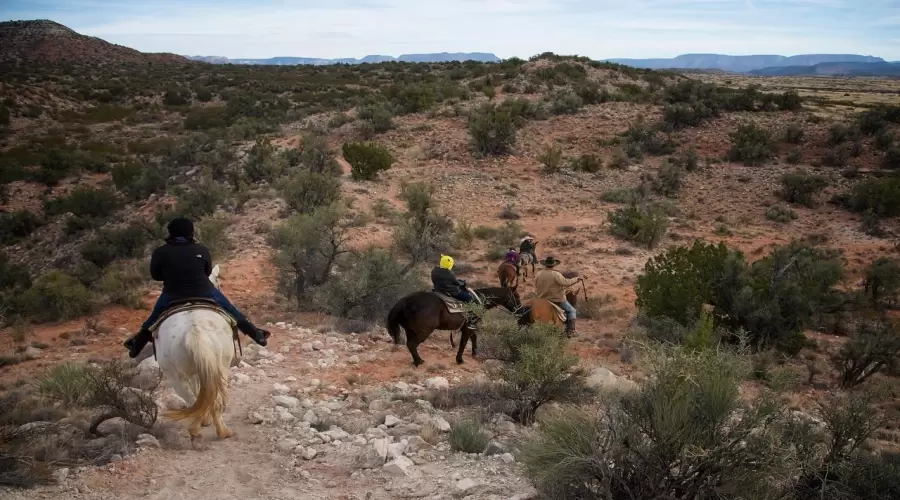 Wickenburg Vacation Homes for Rent in Arizona Retreat